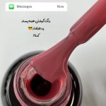 پکیج لاک ژل(p13) تخفیفی ام تو پک ترکیبی 10عددی - تصویر 5