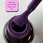 پک لاک ژل 10تایی پاییزی - تصویر 5