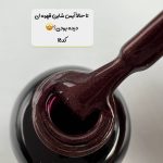 پک لاک ژل 10تایی پاییزی - تصویر 4