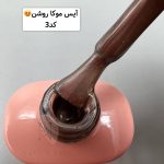 آیس ژل آنیساسری جدید سرامیکی ANISA - تصویر 9