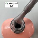 آیس ژل آنیساسری جدید سرامیکی ANISA - تصویر 8