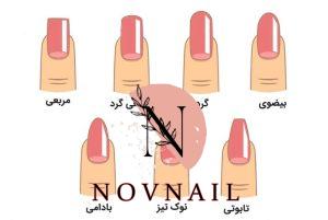 انواع مدل سر ناخن